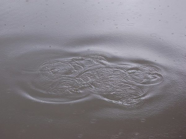 Изображение Фото: Яншевского Андрея.