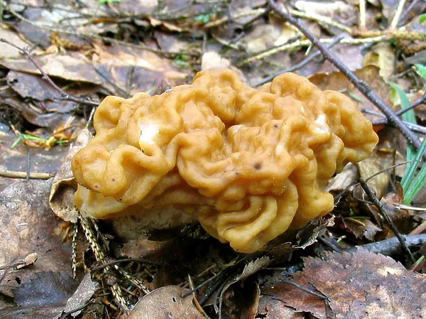 Изображение фото: Fotolia.com 