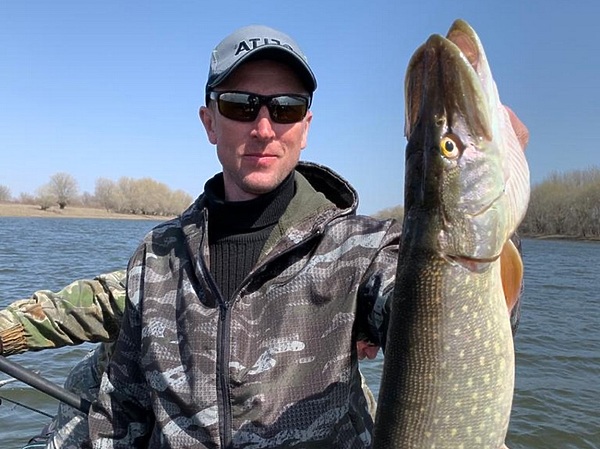 Изображение Икряная щука желанный трофей у многих рыболовов. Фото: Кузнецова Евгения.