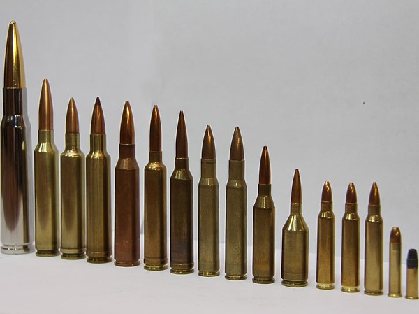 Изображение фото: Антона Журавкова