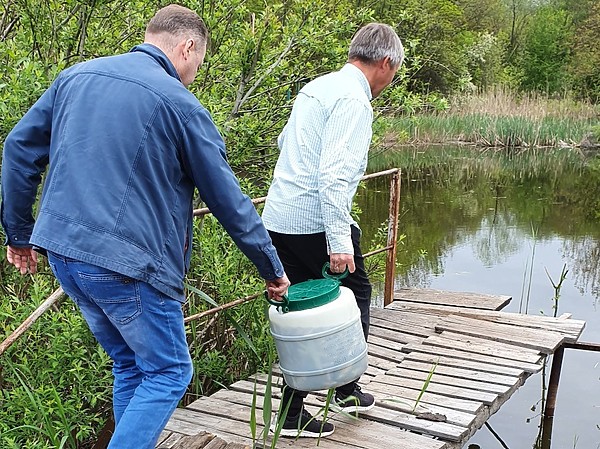 Изображение Фото: Геннадий Шеляг.