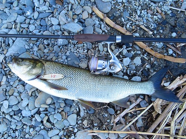 Изображение Фото: Алексей Коломиец.