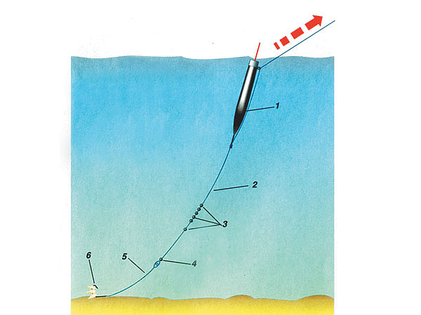 Изображение Рис. 1. Оснастка для проводки
с проволочкой в водоеме без течения или на слабом течении:
1 — поплавок,
2 — основная леска,
3 — основная огрузка,
4 — подпасок,
5 — поводок,
6 — крючок.
Рисунок Маилкова Анатолия.