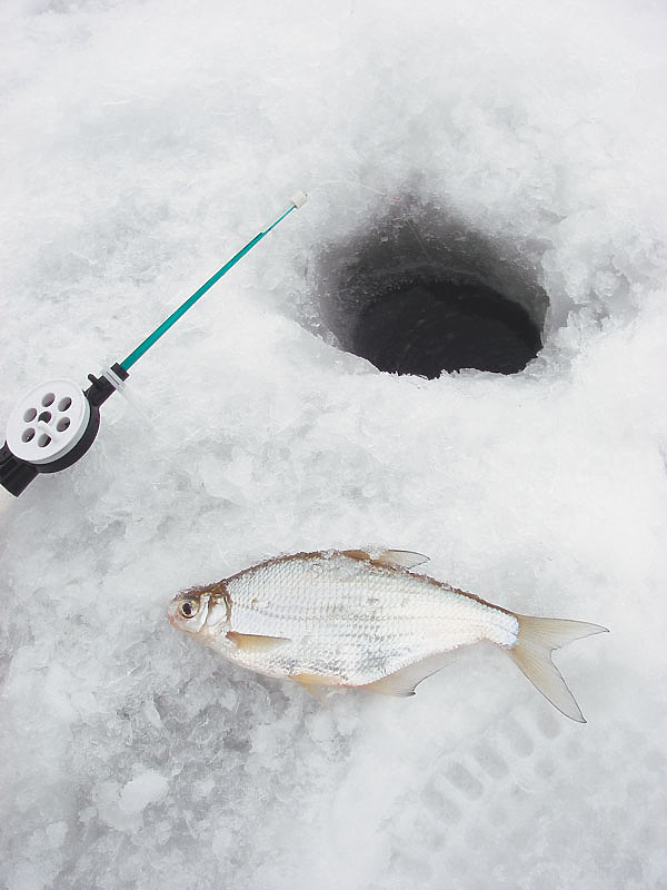 Изображение Фото: Анатолий Маилков. 