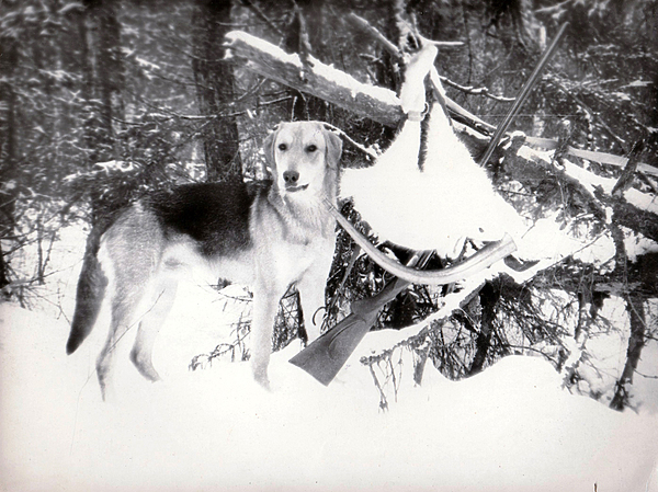 Изображение фото: Валентина Бодункова