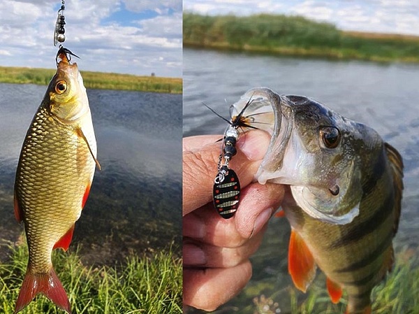 Изображение Фото: Коломийца Алексея.