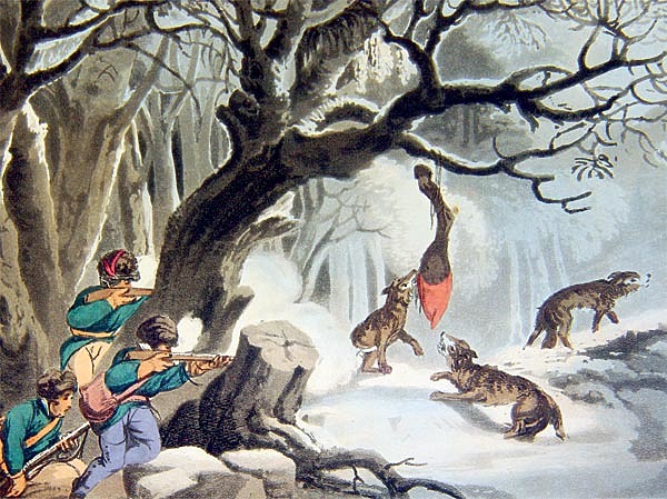 Изображение ИЛЛЮСТРАЦИЯ ИЗ АРХИВА ПАВЛА ГУСЕВА