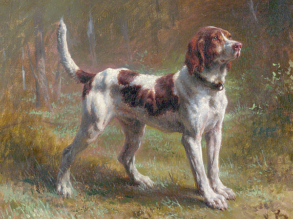 Изображение ИЛЛЮСТРАЦИЯ ROSA BONHEUR 