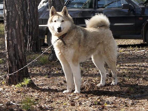 Изображение фотографии предоставлены автором