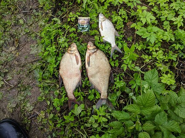 Изображение Фото: Алексей Трембицкий. 