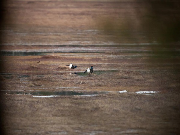 Изображение фото автора