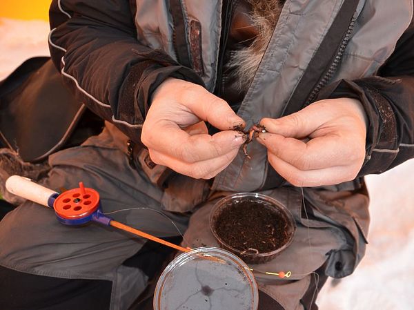 Изображение Фото: Геннадий Шеляг. 