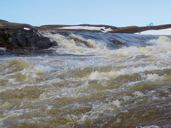 Изображение В начале сезона лососевая река  — это сплошной бушующий поток. Фото: Геннадий Шеляг. 