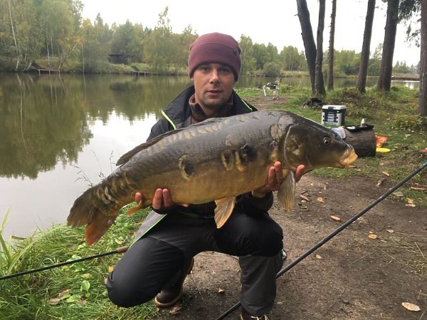 Изображение Фото: ВНИИПРХ.