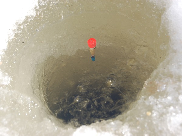 Изображение Фото: Яншевского Андрея.