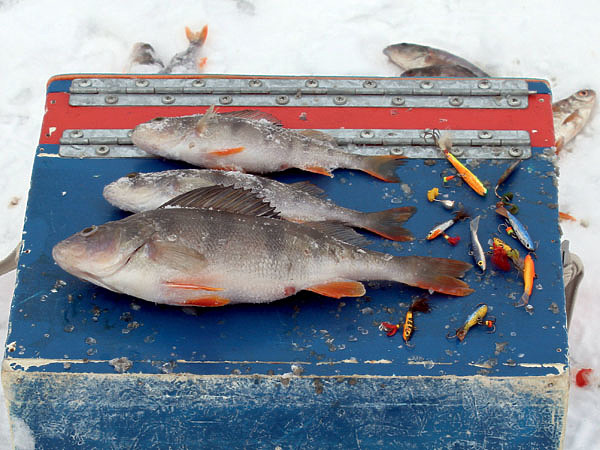 Изображение Удачный выбор балансира — залог успешной рыбалки. Фото: Смирнова Сергея.
