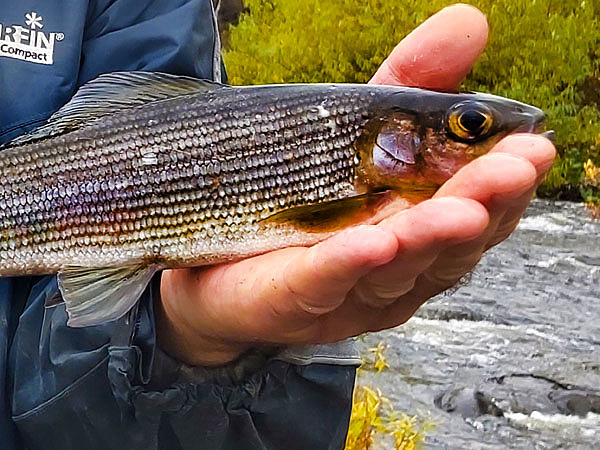 Изображение Фото: Тоболь Евгении.