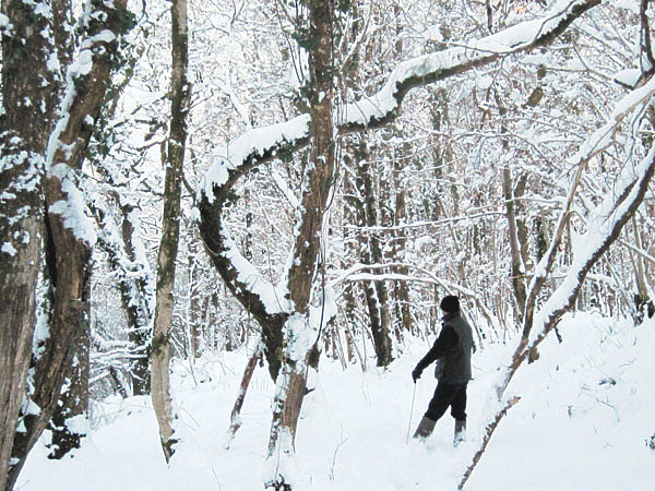 Изображение Фото joysaphine/Flickr.com (CC BY-NC 2.0)