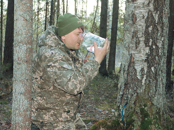 Изображение Нет большего удовольствия, чем утолить жажду березовым соком. Фото автора.