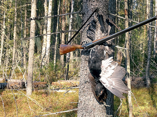 Изображение ФОТО СВЕТЛАНЫ БУРКОВСКОЙ