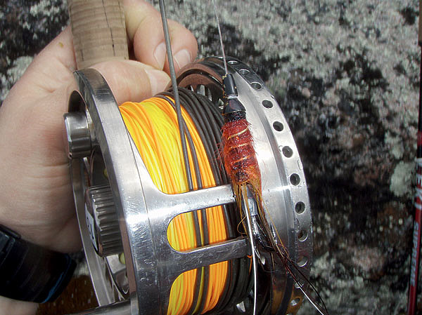 Изображение Примерно такой свободный зазор должен быть на катушке. Фото: Геннадий Шеляг. 