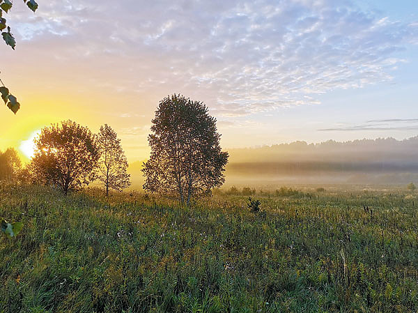 Изображение Любимая падь егеря Дениса. Фото автора.