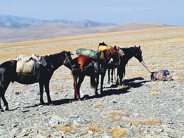 Изображение Фото автора. 