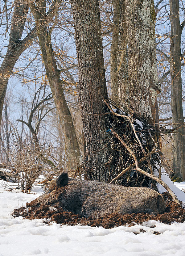 Изображение ФОТО SHUTTERSTOCK