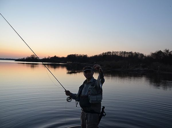 Изображение Фото: Геннадий Шеляг.