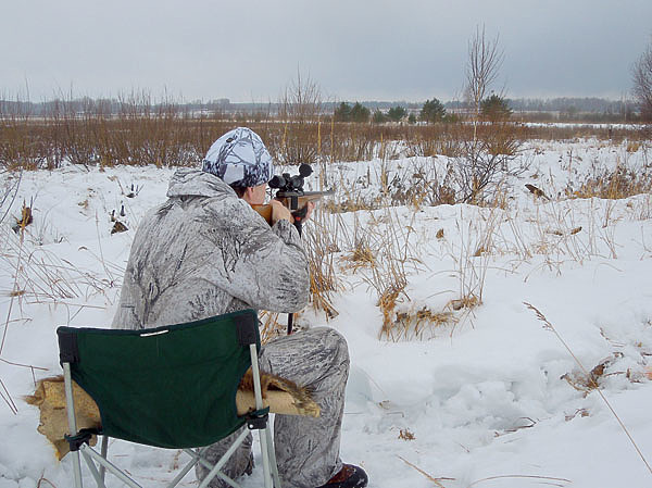 Изображение В прицеле очертания зверька были весьма четкими. Фото автора.
