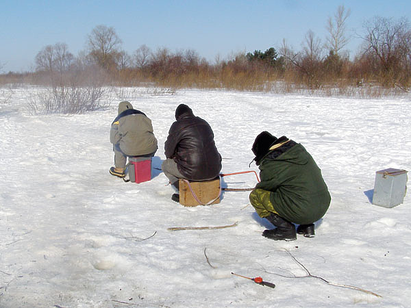 Изображение На отмелях рыболовы ищут участки без травы, чтобы при ловле не было зацепов за растительность. Фото: Линника Николая.