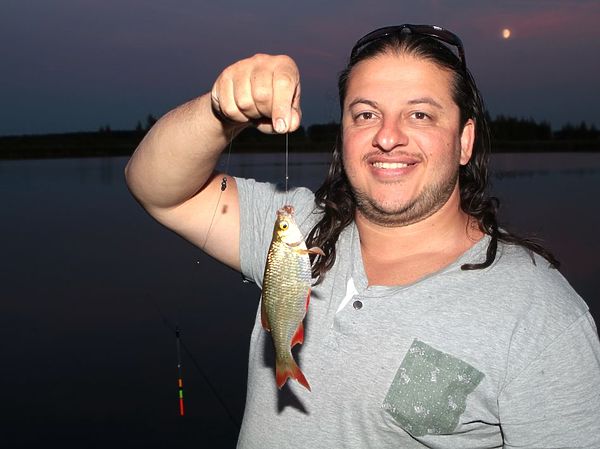 Изображение У красноперки все плавники красные, ее не спутаешь с плотвой. Фото: Евгений Кузнецов. 