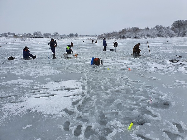Изображение Установления прочного льда ожидал не только я. Фото: Шеляга Геннадия.