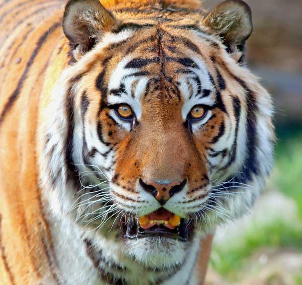 Изображение фото: fotolia.com 