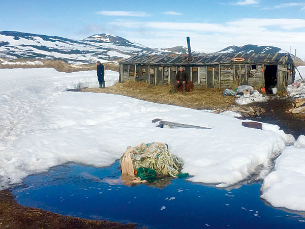 Изображение Наше жилище, в котором косолапые бывали чаще людей. Фото автора.
