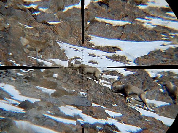 Изображение К этому моменту я очень долго шла. Фото автора. 