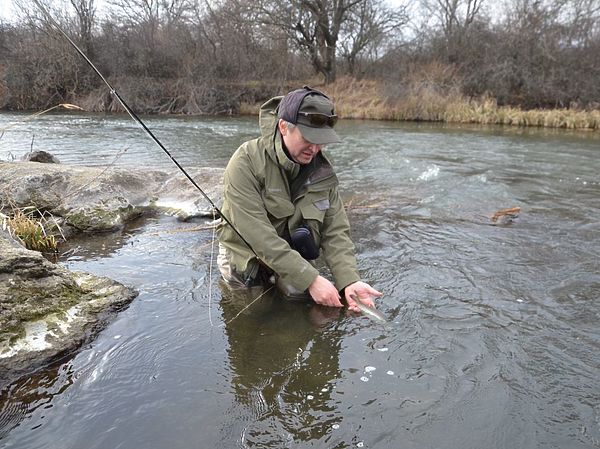 Изображение Фото: Геннадий Шеляг. 