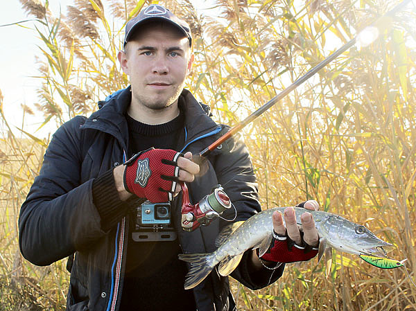 Изображение Чтобы взять бойкую хищницу в стесненных условиях, необходим достаточно мощный спиннинг. Фото: Николай Лебедев.