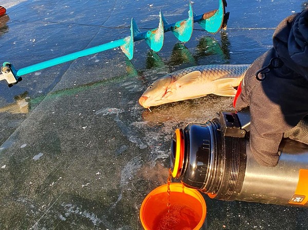 Изображение Фото: Алексей Коломиец. 