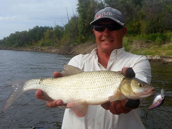 Изображение Lucky Craft RC 2.5 с тройниками могучего размера. Фото: Алексей Коломиец.