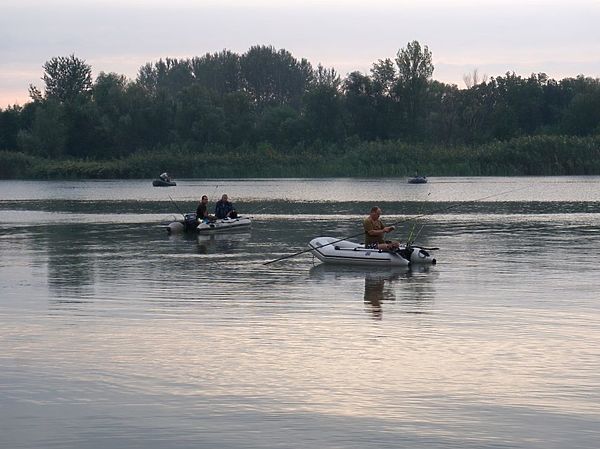 Изображение Многие рыболовы по привычке ищут рыбу на глубине, а она прячется от них под берегом и откармливается на отмелях. Фото: Евгений Кузнецов.