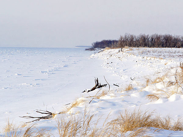 Изображение Чтобы успешно ловить рыбу, надо искать участки льда без торосов. Фото: Алексей Потехин.