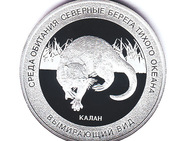 Изображение Фото автора. 