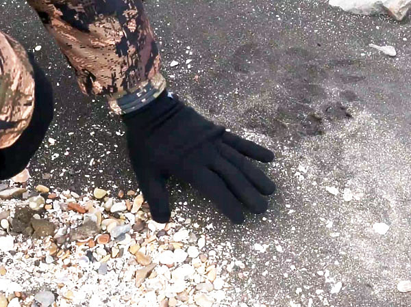 Изображение Камчатка — медвежий край. Фото автора.