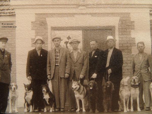 Изображение С лайками: Арефьев К.И. с БОБОЙ, Мечковский Ю.П. с ч.МУХОЙ, Алмазов Е.Н.с ДЖЕКОМ.