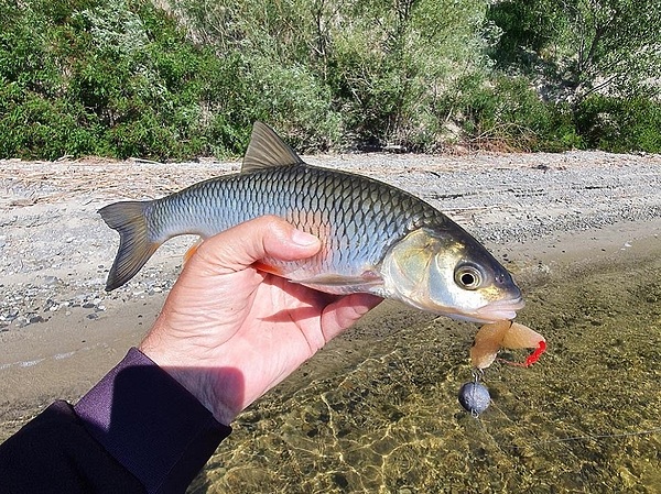Изображение Фото: Коломийца Алексея. 