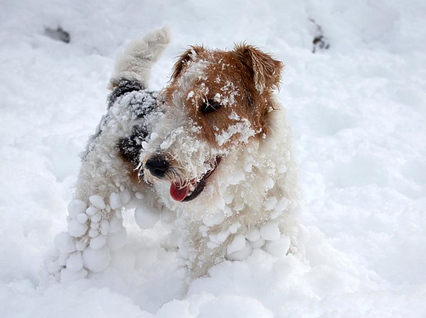 Изображение фото: fotolia.com