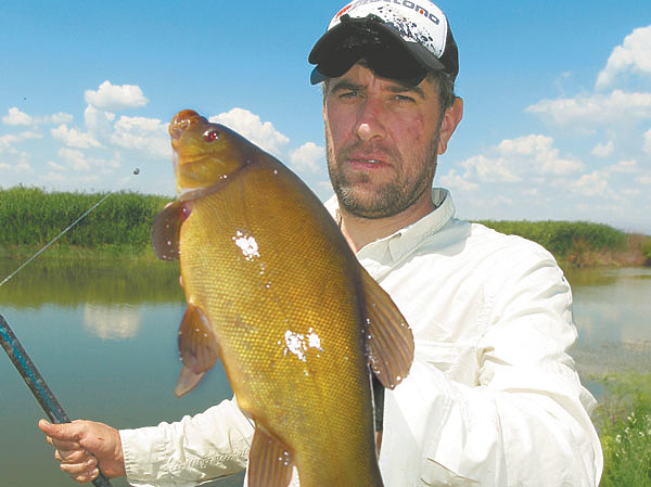 Изображение Фото: Алексей Коломиец. 