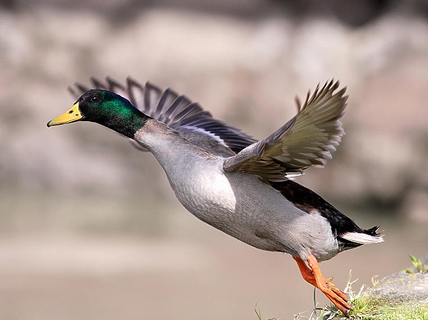 Изображение фото: Fotolia.com