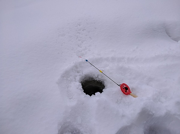 Изображение Моя самоделка. Фото: Трембицкого Алексея. 